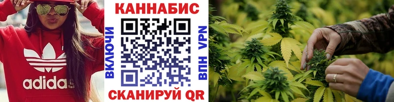 Купить где  Ленинградская  Каннабис марихуана 